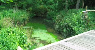 La Vallée du Coran La Vallée du Coran