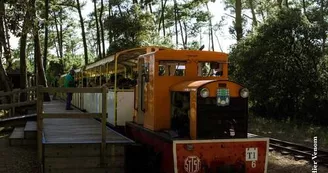 Le P'tit Train de Saint-Trojan Le P'tit Train de Saint-Trojan