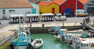 Le Petit Train du Château Le Petit Train du Château
