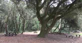 Aire de pique-nique Vertbois Aire de pique-nique Vertbois
