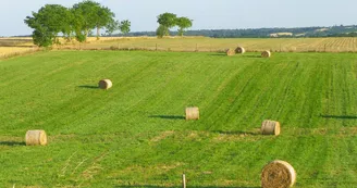 Ferme de Dallignac Ferme de Dallignac