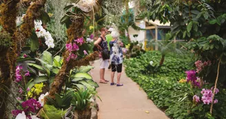 Serre tropicale des Antilles de Jonzac Serre tropicale des Antilles de Jonzac