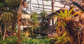 Serre tropicale des Antilles de Jonzac Serre tropicale des Antilles de Jonzac