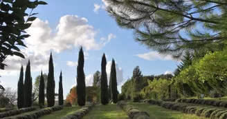 Les jardins du Coq Les jardins du Coq