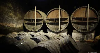 Normandin Mercier, boutique au domaine - Cognacs et pineau Normandin Mercier, boutique au domaine - Cognacs et pineau