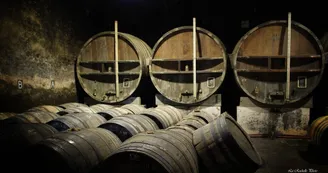 Normandin Mercier, boutique au domaine - Cognacs et pineau