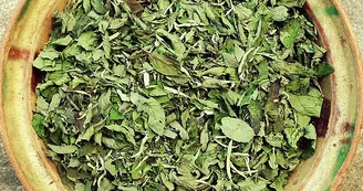 Aux Graines Buissonnières - Culture et cueillette de plantes aromatiques Aux Graines Buissonnières - Culture et cueillette de plantes aromatiques