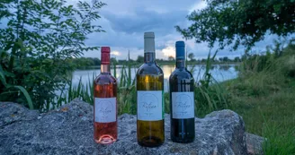 Vignoble Biteau Vignoble Biteau