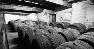 Domaine et Distillerie Brillouet Domaine et Distillerie Brillouet