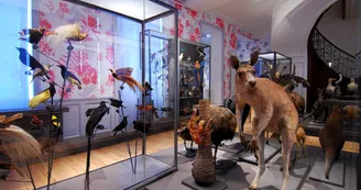 Muséum d'Histoire Naturelle Muséum d'Histoire Naturelle