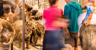 Muséum d'Histoire Naturelle Muséum d'Histoire Naturelle
