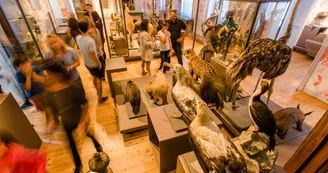 Muséum d'Histoire Naturelle Muséum d'Histoire Naturelle