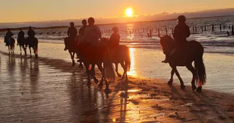 Les Cavaliers du Fort Boyard - Balades à cheval Les Cavaliers du Fort Boyard - Balades à cheval