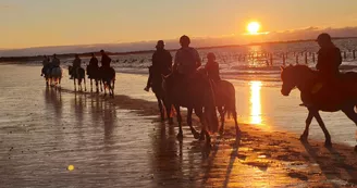 Les Cavaliers du Fort Boyard - Balades à cheval Les Cavaliers du Fort Boyard - Balades à cheval