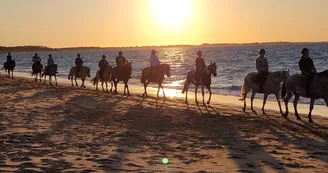 Les Cavaliers du Fort Boyard - Balades à cheval Les Cavaliers du Fort Boyard - Balades à cheval