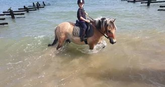 Les Cavaliers du Fort Boyard - Balades à cheval Les Cavaliers du Fort Boyard - Balades à cheval