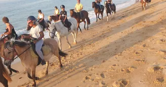 Les Cavaliers du Fort Boyard - Balades à cheval Les Cavaliers du Fort Boyard - Balades à cheval
