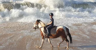Les Cavaliers du Fort Boyard - Balades à cheval Les Cavaliers du Fort Boyard - Balades à cheval