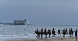 Les Cavaliers du Fort Boyard - Balades à cheval Les Cavaliers du Fort Boyard - Balades à cheval