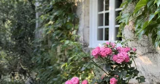 La Maison des Aulnes - Ile de Malvy