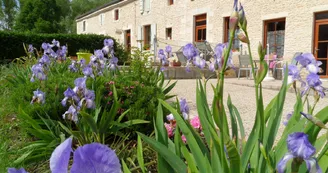 Aire naturelle Au Jardin près de l'Océan Aire naturelle Au Jardin près de l'Océan