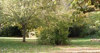 Camping de Chassagne Camping de Chassagne