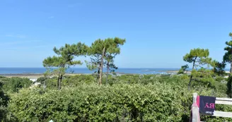 Camping APV l'Anse des Pins Camping APV l'Anse des Pins