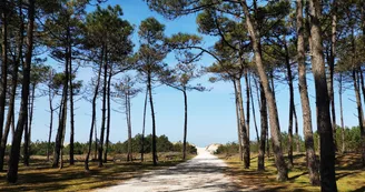 Camping Beausoleil Camping Beausoleil