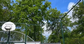 Camping Chant des Oiseaux Camping Chant des Oiseaux