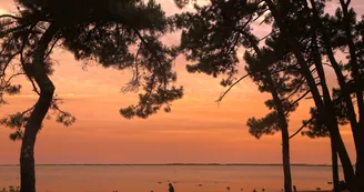 Camping Sandaya - Les Mathes Camping Sandaya - Les Mathes