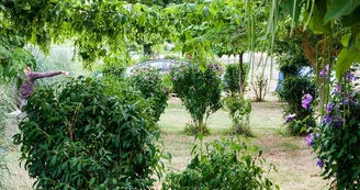 Camping de l'Étang Camping de l'Étang