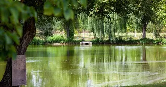 Camping de l'Étang Camping de l'Étang