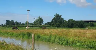Camping Nature Le Grand Pré Camping Nature Le Grand Pré