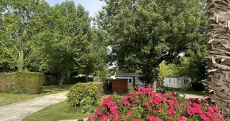Camping L'Orée des Bois Camping L'Orée des Bois