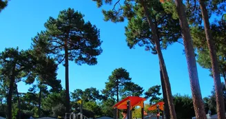 Camping Siblu - La Pignade Camping Siblu - La Pignade