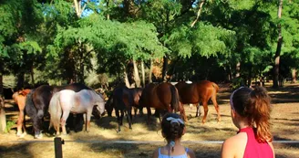 Camping Siblu - La Pignade Camping Siblu - La Pignade