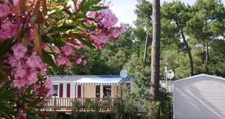 Camping Siblu - La Pignade Camping Siblu - La Pignade