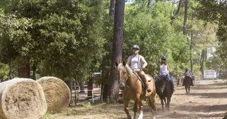 Camping Siblu - La Pignade Camping Siblu - La Pignade