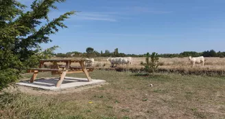 Camping le Bateau Camping le Bateau