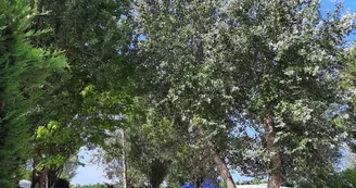 Camping Le Prélong Camping Le Prélong