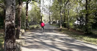 Camping Le Transat Camping Le Transat