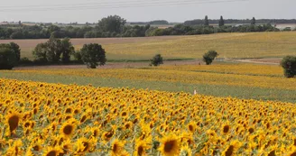 Camping Les Brandes Camping Les Brandes