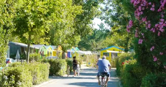 Camping Les Cabanes d'Oléron Camping Les Cabanes d'Oléron