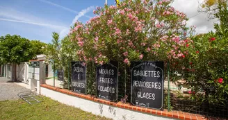 Les Cupressus Les Cupressus