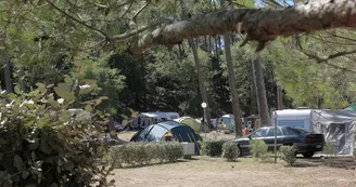 Camping Les Ombrages La Tremblade Camping Les Ombrages La Tremblade