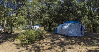 Flower Camping Monplaisir Flower Camping Monplaisir