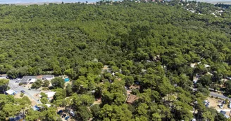 Flower Camping Monplaisir Flower Camping Monplaisir
