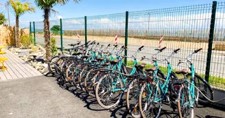 Camping Ostrea Camping Ostrea