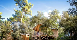 Camping Signol Camping Signol