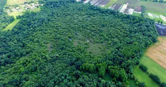 Tourbière de Bois Mou Tourbière de Bois Mou